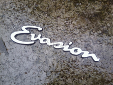 Emblem Schriftzug Evasion 24,3cmx5,8cm für Citroen Evasion (22)