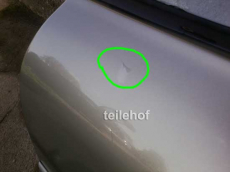 Tür hinten links V9 LIGHT NORDIC GREEN für Ford Mondeo 2 Stufenheck