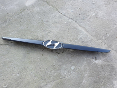Kühlergrillblende 86361-1C000 für Hyundai Getz (TB) bis 05 EB