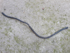 Entlüftungsschlauch 013124272 für Einfüllstutzen für Opel Corsa C