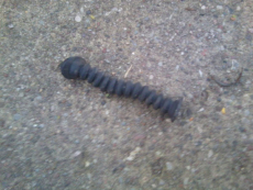 Faltenbalg 90495466 vorne für Handbremsseil für Opel Vectra B