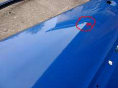 Tür vorne links für Peugeot 206 3-Türer in EGJB