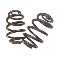 Set Fahrwerksfeder hinten 8200844174 grün für Renault Clio II
