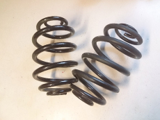 Set Fahrwerksfeder hinten 8200844174 grün für Renault Clio II