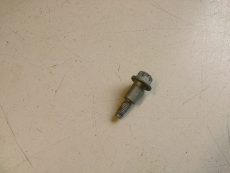Schraube 8200668704 für Renault Megane I 1,4l 16V 1,6l 16V