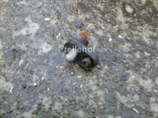Türkontaktschalter 4408423 für Saab 9-5 YS3E