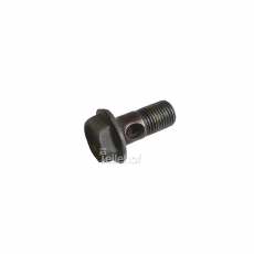 Hohlschraube 90044-01094 für Daihatsu Sirion M100 1,0 ab 11.2000