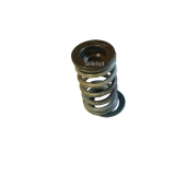 Ventilfeder 95267 für 2,1TD (XUD11BTE) 12V