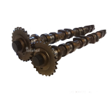 2 Nockenwellen 1302086J00 1302090J30 für Nissan Primera P11 1,6 16V