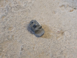 Haken 09165013 für Opel Corsa C