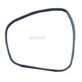 Gummidichtung für Tür hinten links für Renault Scenic I