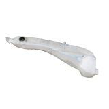 Wischwasserbehälter 7700835518 für Renault Megane I Ph2