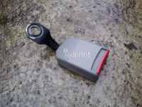 Gurtschloß 550 1327 EA12571 hinten für Evasion Zeta Ulysse