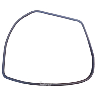 Gummidichtung 1125494 hinten links für Ford Focus MK1