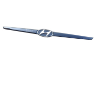 Kühlergrillblende 86361-1C000 für Hyundai Getz (TB) bis 05 EB