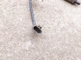 Bosch Lambdasonde 0258003852 für Nissan Primera P11 1,6l 16V