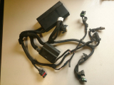 Kabelbaum 09136434 für Opel Vectra B 1,6l 16V Z16XE
