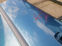 Tür hinten links für Peugeot 306 Schrägheck 4-Türer blau - MONO