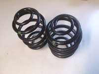 Set Fahrwerksfeder hinten 8200844174 grün für Renault Clio II
