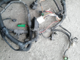 Motorkabelbaum fr Renault Laguna K56 B56 1,8L F3P