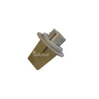 Hella Lampenträger 14847905 für VW Passat 5B